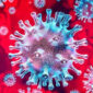 Un estudio muestra una baja incidencia de infección por COVID-19 en personas con enfermedades reumáticas