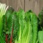 Verduras de hoja verde para reducir el riesgo de glaucoma