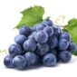 Coma más uvas para aliviar la osteoartritis de rodilla dolorosa