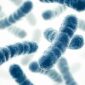 Investigadores identifican la toxina responsable del crecimiento de Legionella