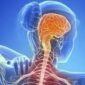 ¿Se puede prevenir la esclerosis múltiple?