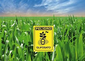 pesticidas, herbicidas, glifosato, autismo